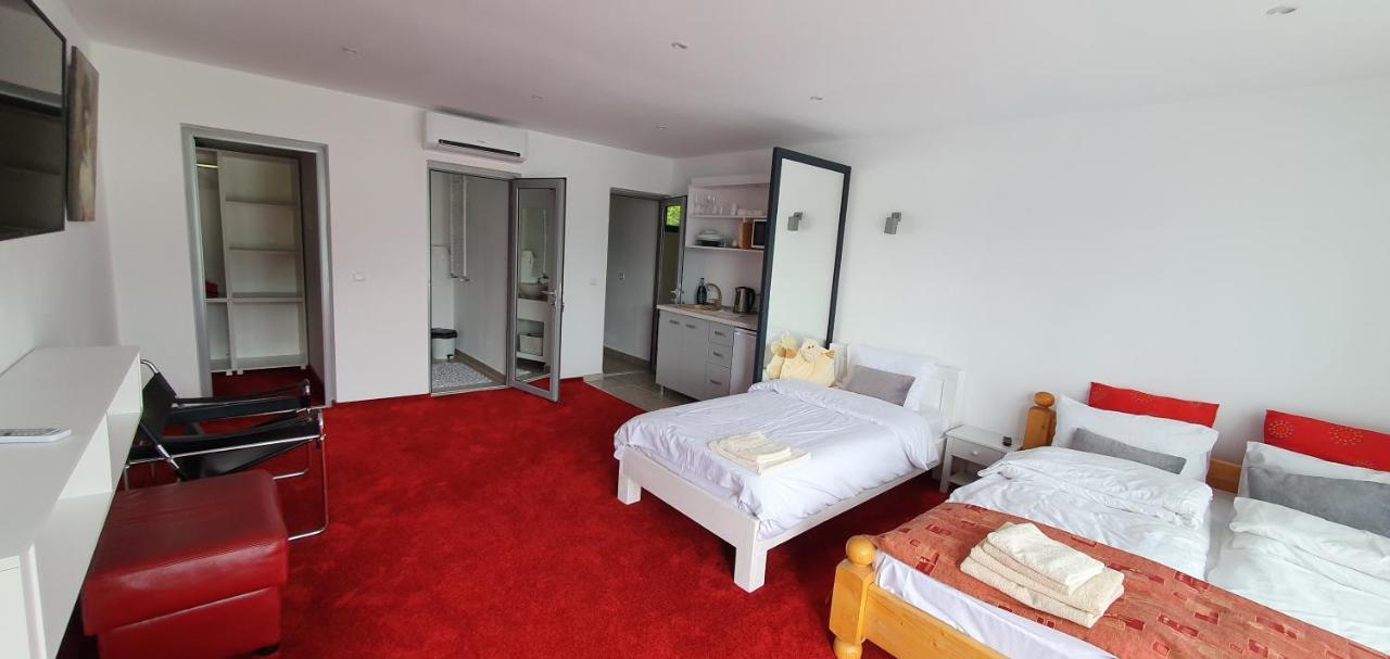 Modern Rooms Colibiţa المظهر الخارجي الصورة